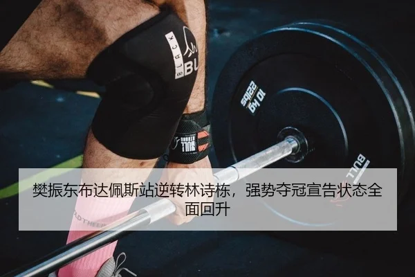 fan-zhen-dong-bu-da-pei-si-zhan-ni-zhuan-lin-shi-dong-qiang-shi-duo-guan-xuan-gao-zhuang-tai-quan-mian-hui-sheng-2-941.jpg